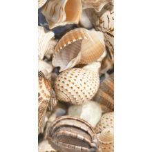 Плитка Декор Sea Breeze Shells №2 300x600х10 мм Е11421