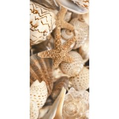 Плитка Декор Sea Breeze Shells №1 300x600х10 мм Е11411